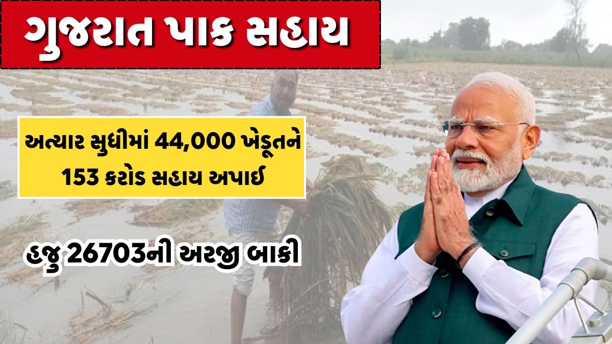 pak nuksan sahay gujarat 2025